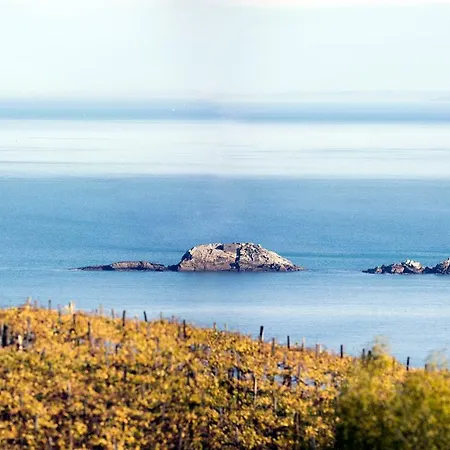 Aterian. Sanz Enea Zarautz