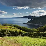 Aterian. Sanz Enea Zarautz