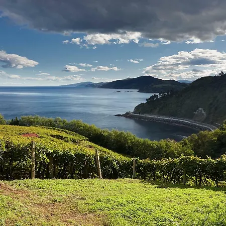 Aterian. Sanz Enea Zarautz