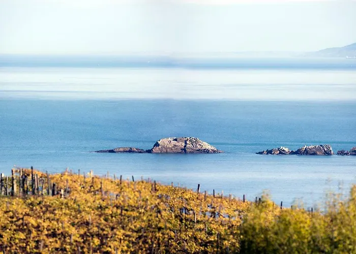 Aterian. Sanz Enea Zarautz